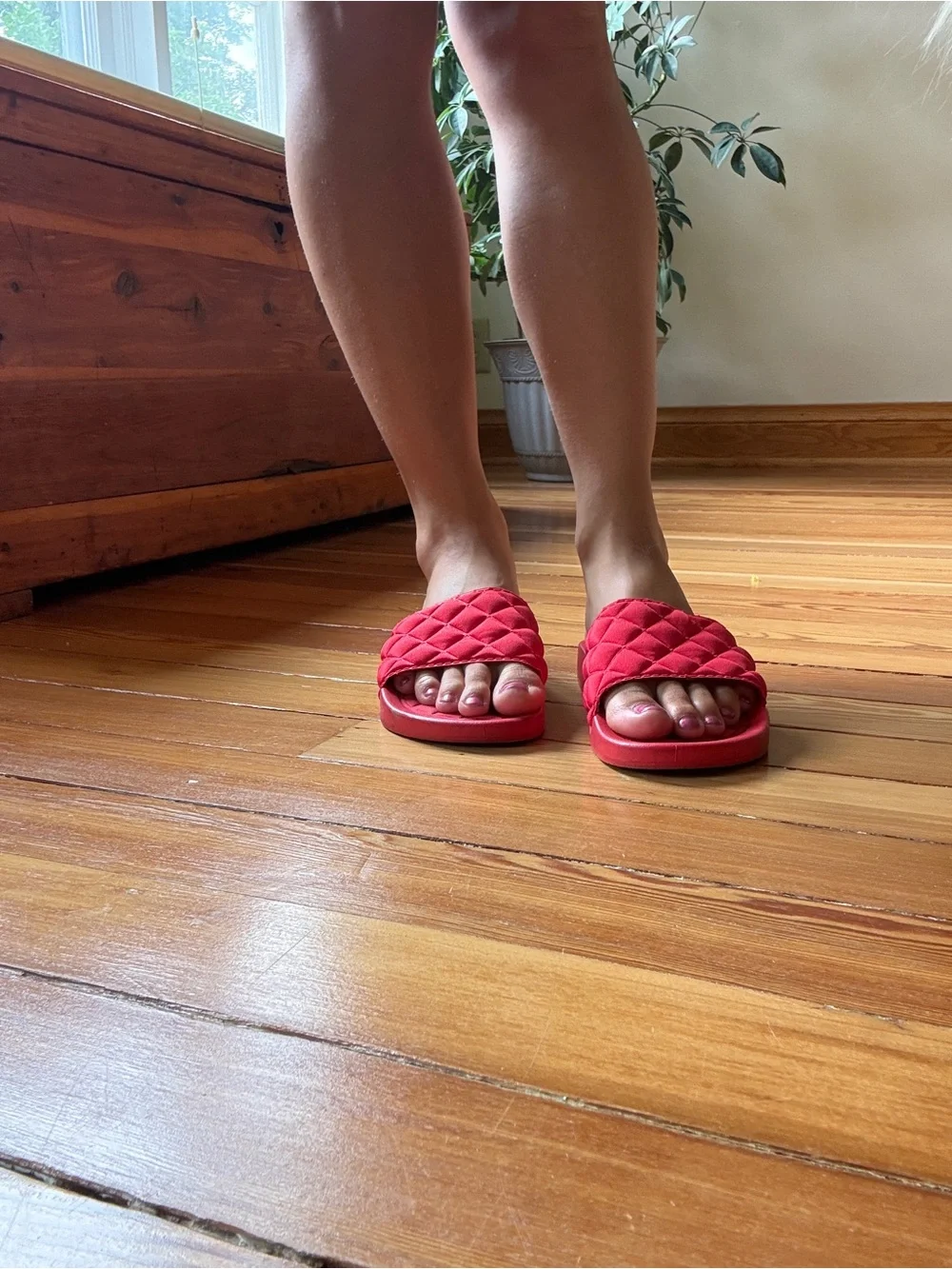 Red slides - Picture 7 of 8